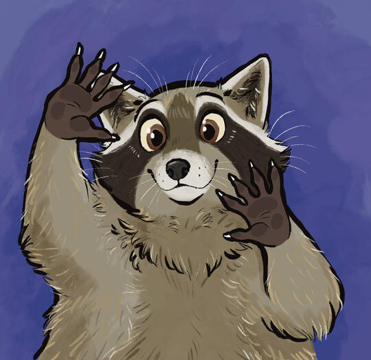Raccoon Button
